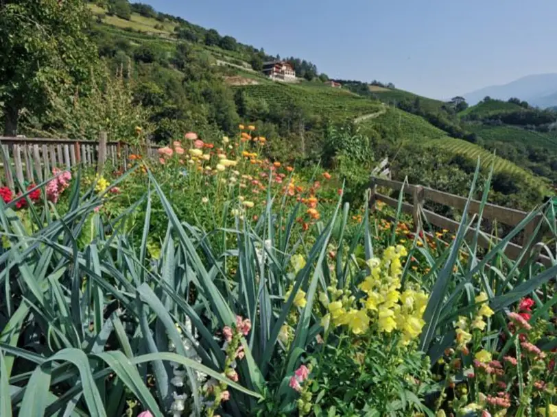 Pschnickerhof in Villanders