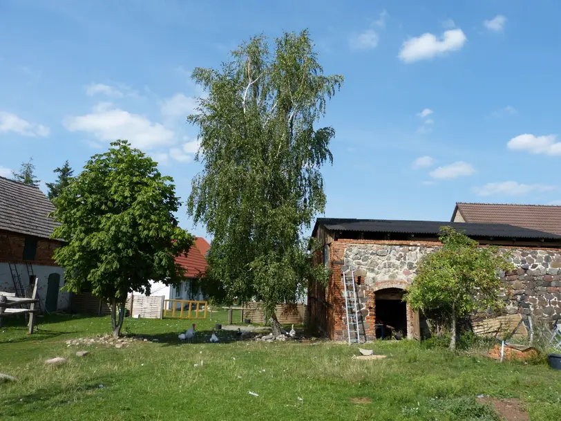 Ökohof Fläming in Schopsdorf