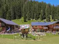 Naturzeithof in Mittelberg Naturzeithof in Mittelberg