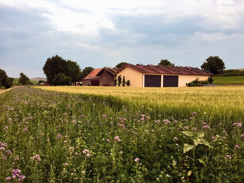 Kartoffelhof Schäffer in Lauffen a.N.