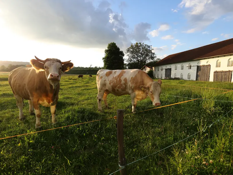 Biohof Emmerer in Aschau am Inn