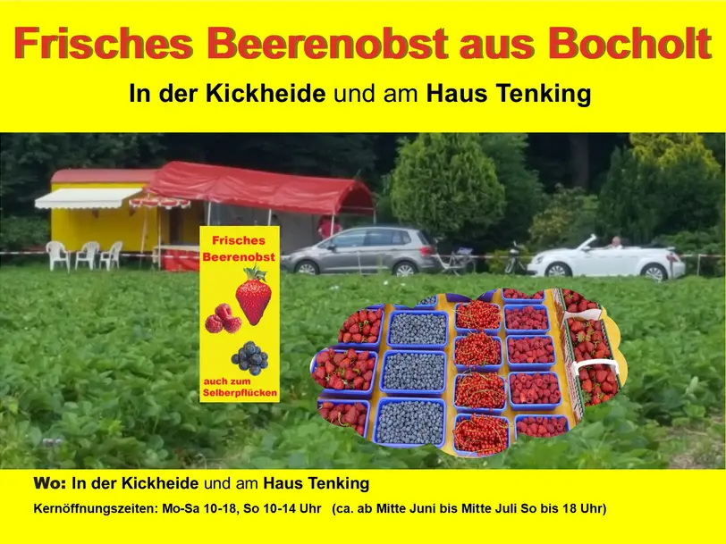Erdbeerfeld Kickheide Himbeeren und Heidelbeeren in Bocholt