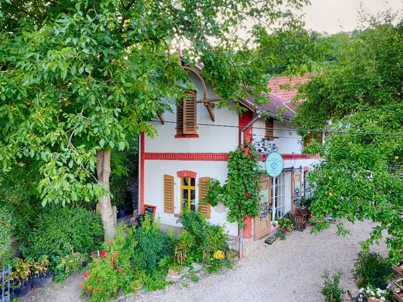 Weingut und Ferienhausvermietung Prof. Wartenberg in Naumburg Roßbach