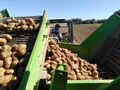 Biokartoffeln Mühlbauer in Künzing