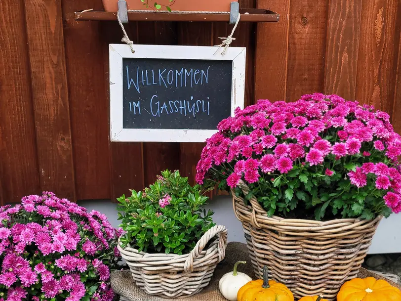 Gasshof  in 6242 Wauwil (LU)