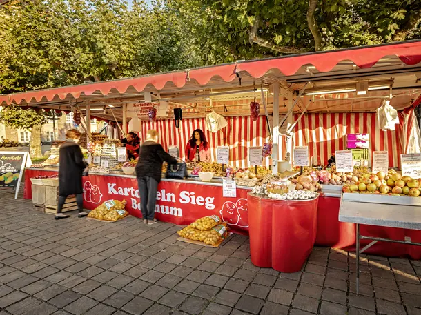 Kartoffeln Sieg Bochum