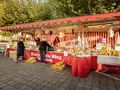 Kartoffeln Sieg Bochum in Bochum Kartoffeln Sieg Bochum in Bochum