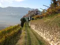 Planitzer in Montan Planitzer in Montan