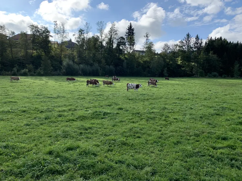 Biohof Trausmühle in Vöcklamarkt