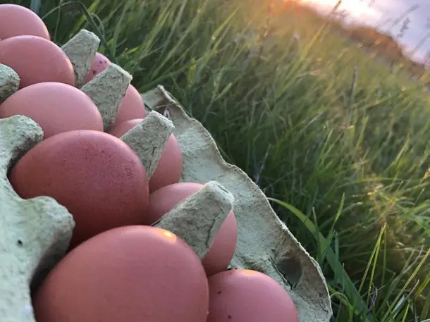 Eier Häusla Marloffstein