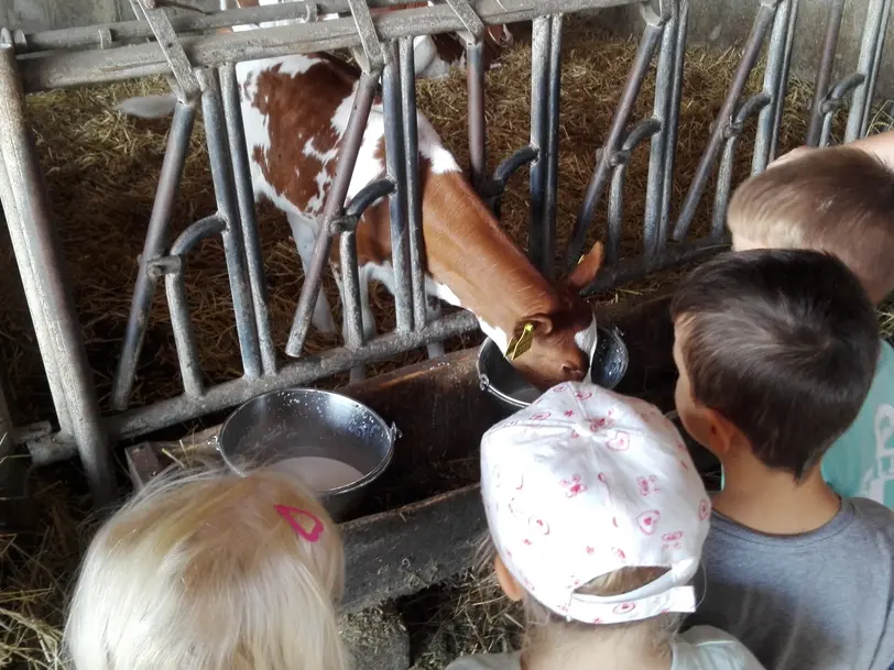 Silke Augst in Helmenzen