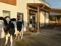 Hofladen Ülfetal in Radevormwald Hofladen Ülfetal in Radevormwald