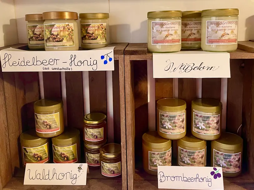 Ilona‘s Beehive in Bramsche