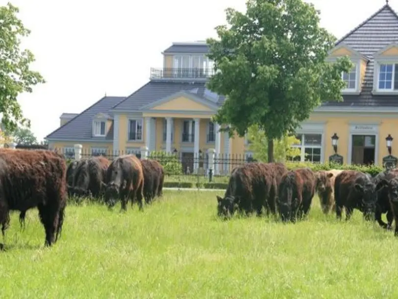 Gut Hesterberg in Neuruppin-Lichtenberg