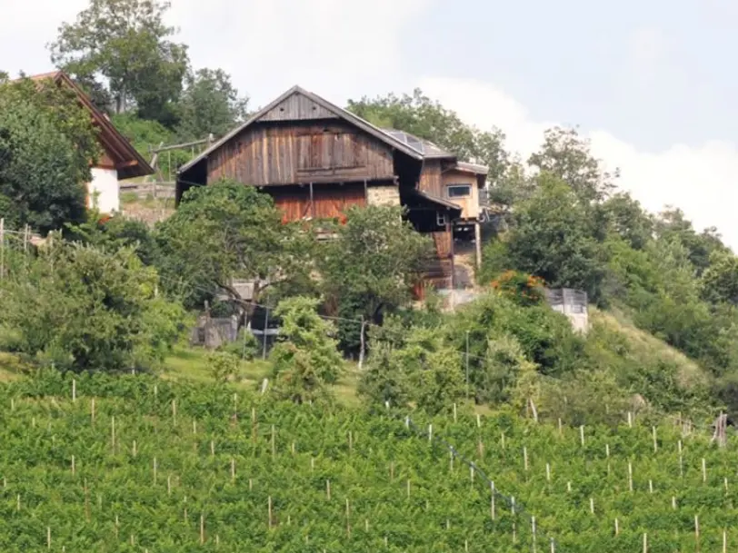 Rielingerhof in Ritten/Siffian