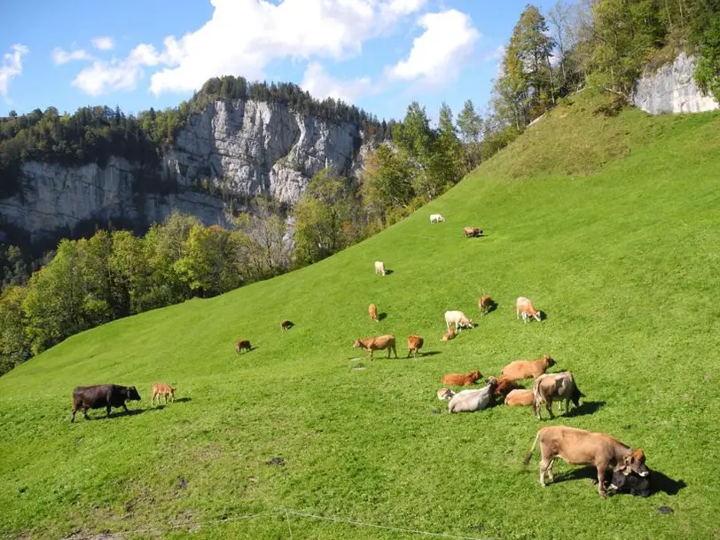 Fluehli in Unteriberg