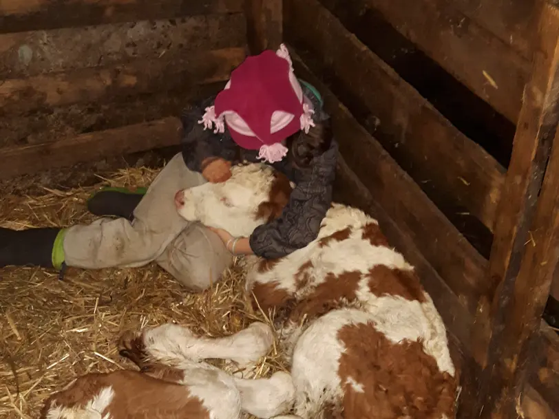 Erlebnisbauernhof beim Strobl  in Holzkirchen