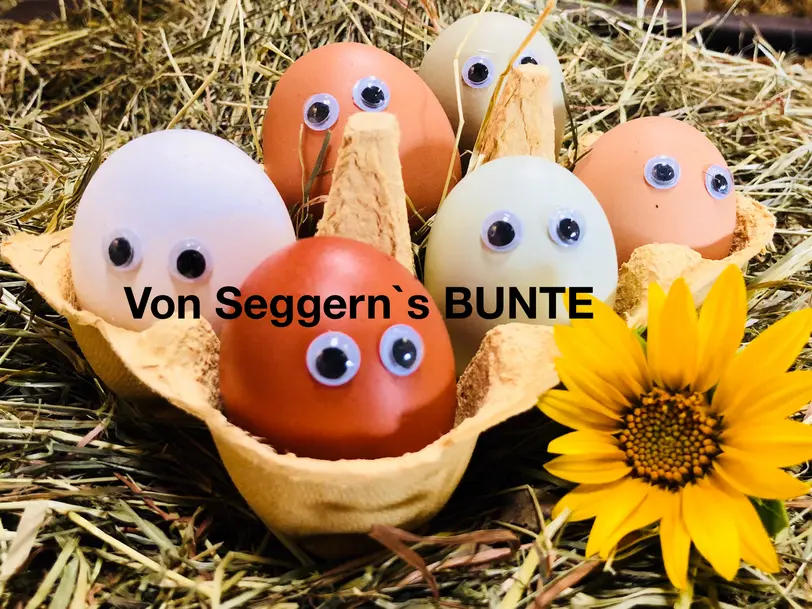 von Seggern in Wiefelstede