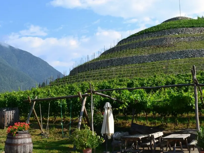 Griesserhof in Vahrn