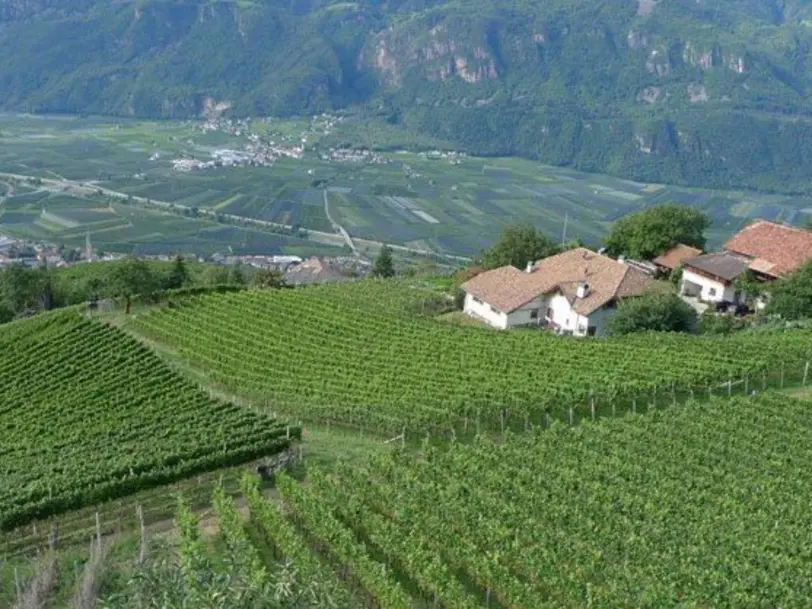 Oberlegar in Terlan