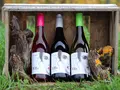 Weingut Markus Hafner in Ubstadt-Weiher OT Zeutern Weingut Markus Hafner in Ubstadt-Weiher OT Zeutern