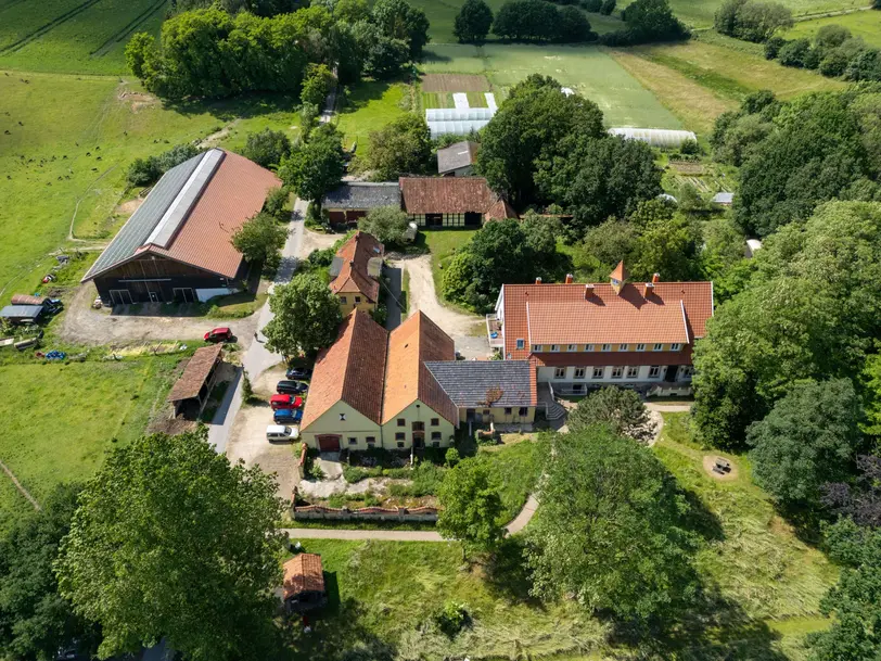 Wurzeln & Hörner auf Haus Hülshoff in Tecklenburg in Tecklenburg