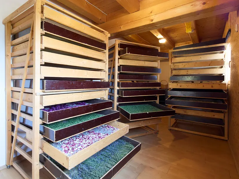 Biohof Obertreichl in Brixen im Thale