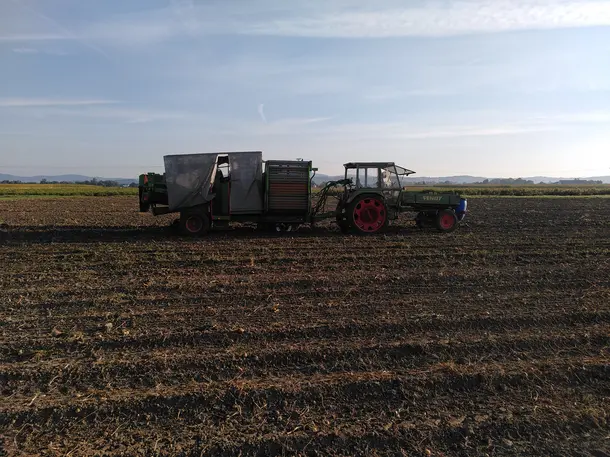 Biokartoffeln Mühlbauer