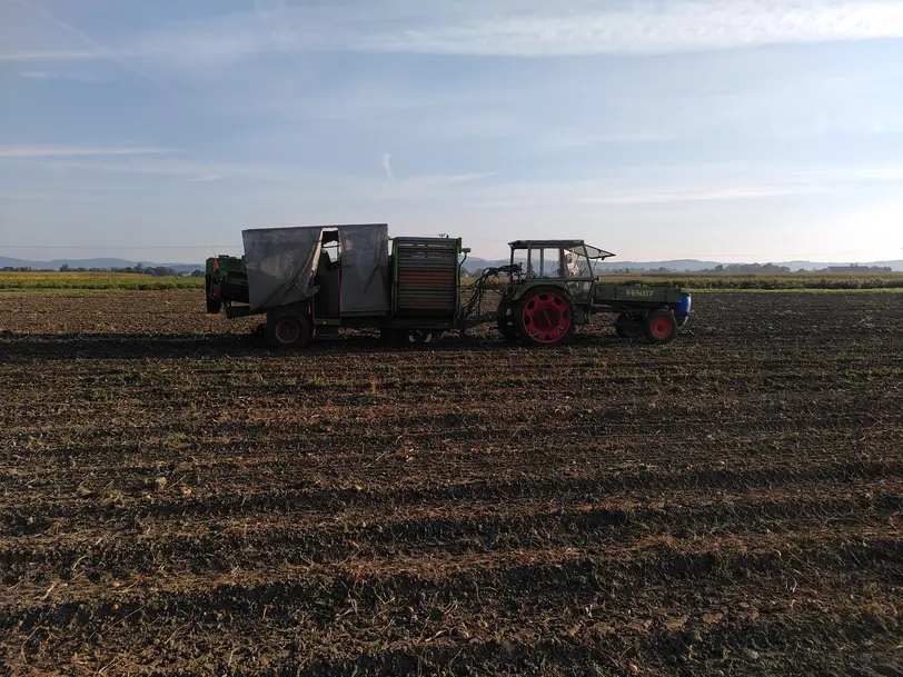 Biokartoffeln Mühlbauer in Künzing