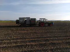 Biokartoffeln Mühlbauer