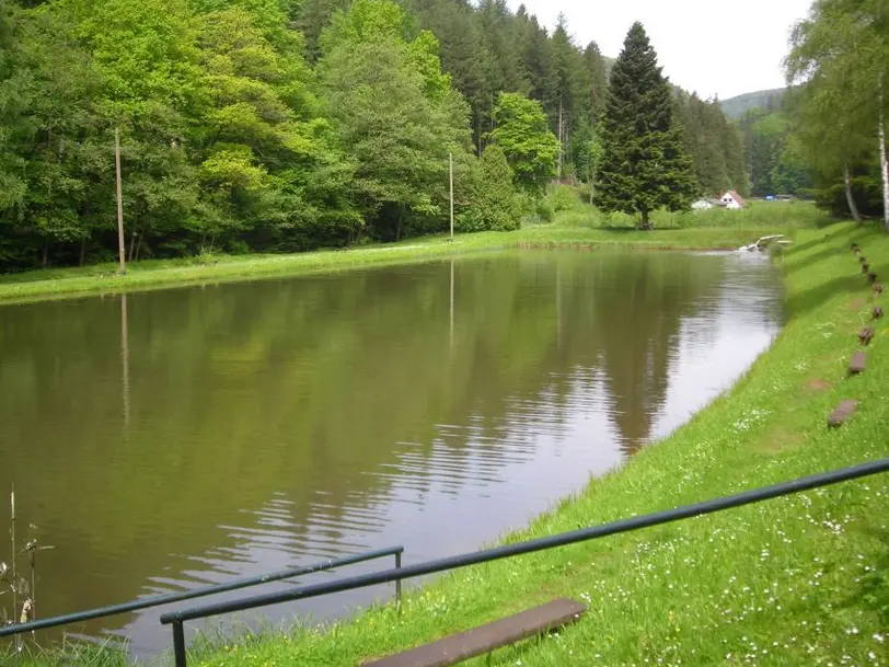 Eußerthaler Angelweiher in EUSSERTHAL