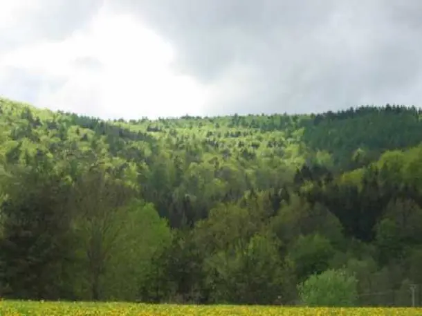 Wildgenuss - Forstverwaltung Rupboden