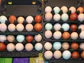 Eierverkauf in Hagenah