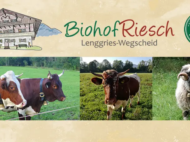 Biohof Riesch