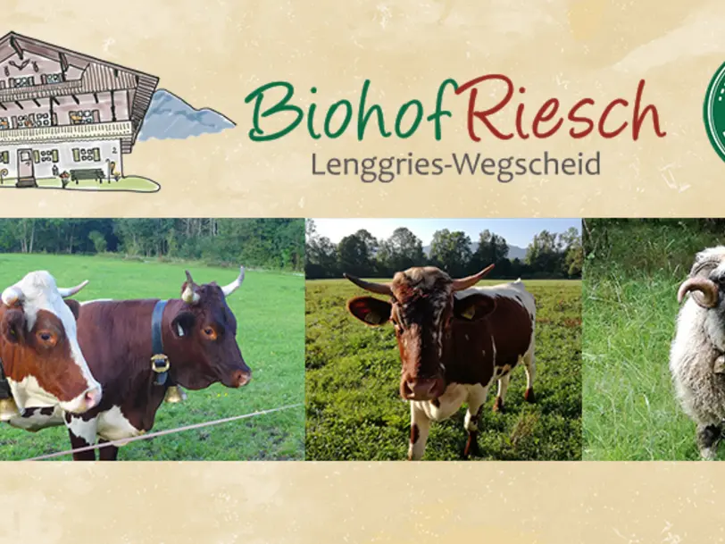Biohof Riesch in Lenggries-Wegscheid