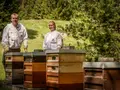 Selbstbedienungsstand Imkerei SaNi's Honeybees  in Freiburg im Breisgau