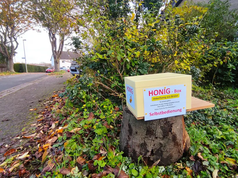 Honig - Box  Imkerei Hochstift Honig in Brakel
