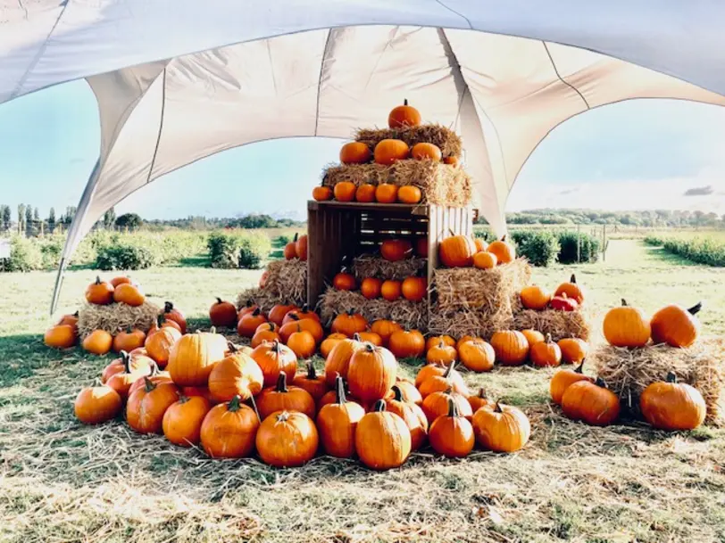 Baumerhof in Mülheim an der Ruhr