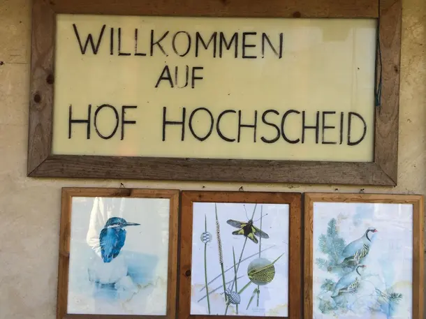 Hof Hochscheid Wanderhütte
