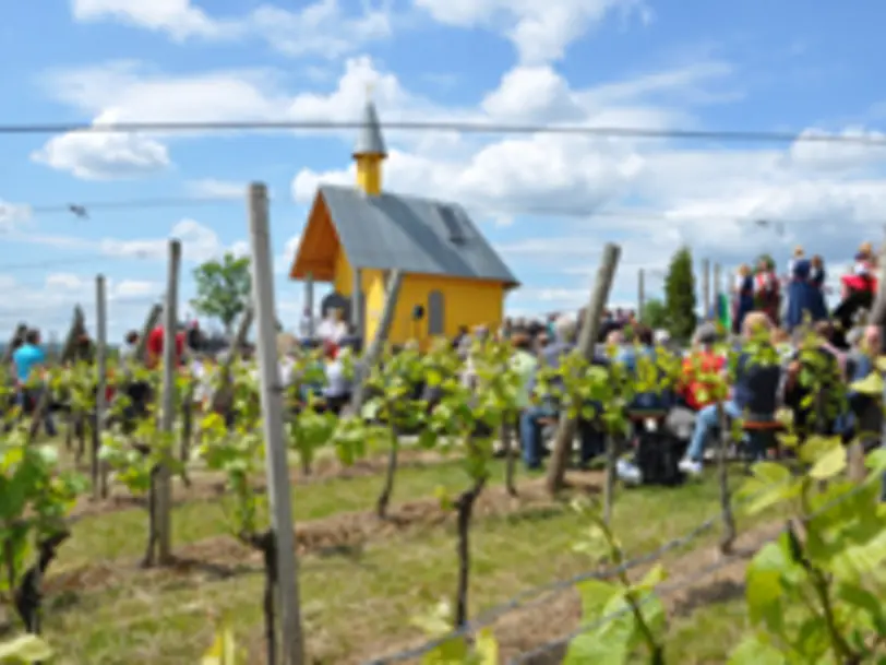 Privat-Weingut Schmitt in Bergtheim