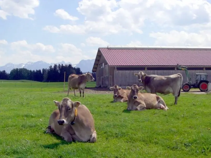 Bauern- und Ferienhof Hirsch in Rückholz