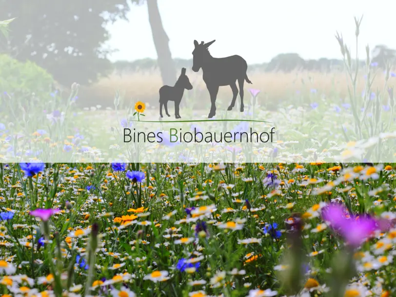 Bines Biobauernhof in Weikersheim