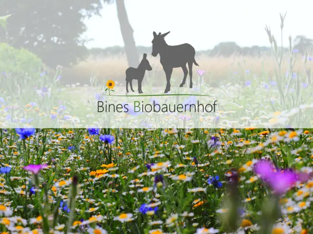 Bines Biobauernhof