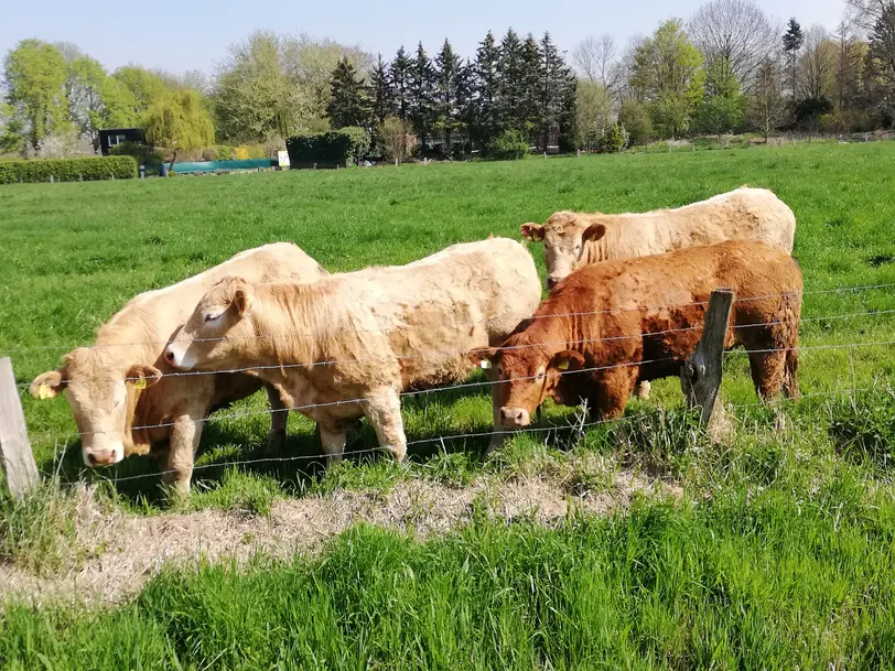 Familie van de Flierdt in Kempen