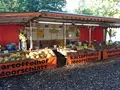 Kartoffelhof Moorschlatt in Ganderkesee Kartoffelhof Moorschlatt in Ganderkesee