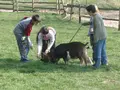 Familien- und Jugendherberge Platzhof in Kandern Familien- und Jugendherberge Platzhof in Kandern