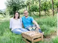 Weingut Sturm in Ilbesheim