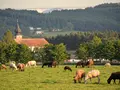 BIOHof Scherhäufl in Adlwang