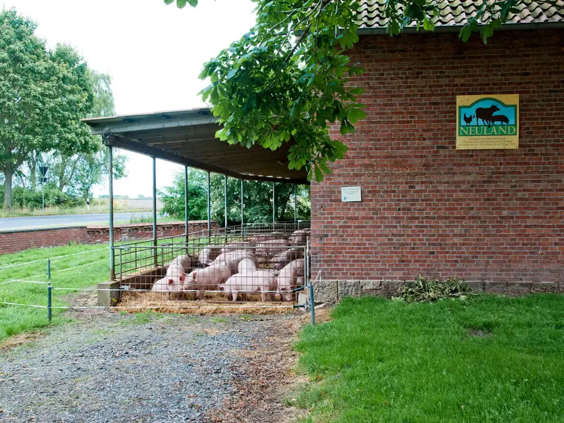 Neuland-Hof Runge in Nordsehl