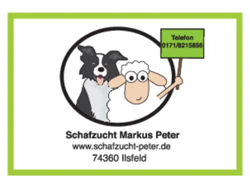 Schafzucht Markus Peter in Ilsfeld